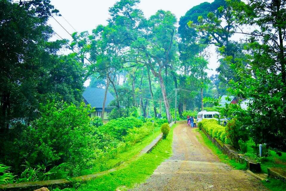 Munnar Tea Estate Cottage And Resort - Away From City Hustle Extérieur photo